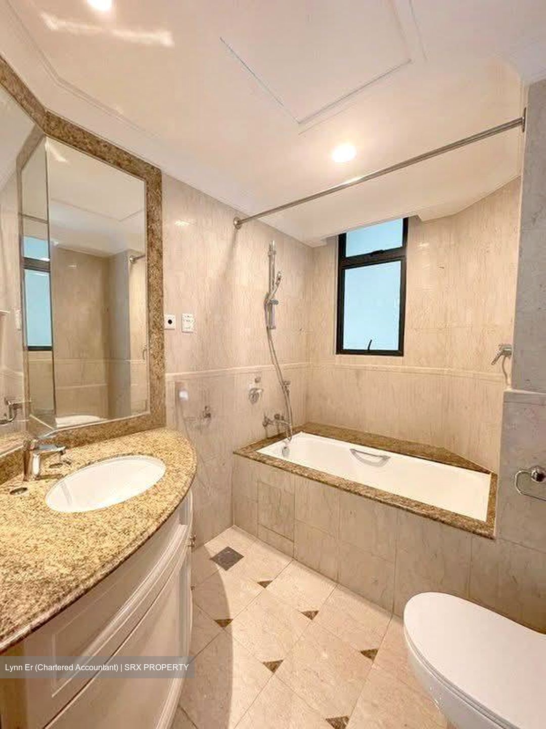 Valley Park (D10), Condominium #578714631